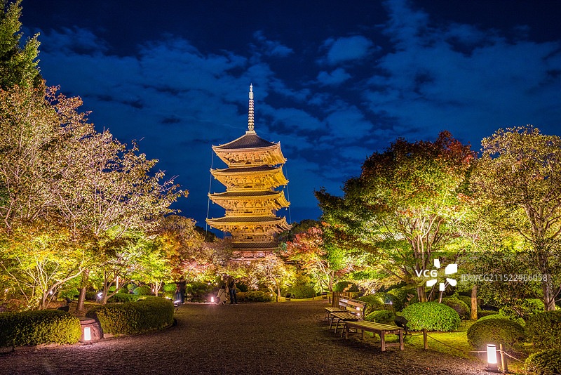 日本京都的东寺，五重塔与红叶狩夜景图片素材