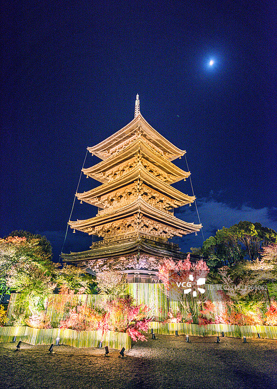日本京都的东寺，五重塔与红叶狩夜景图片素材
