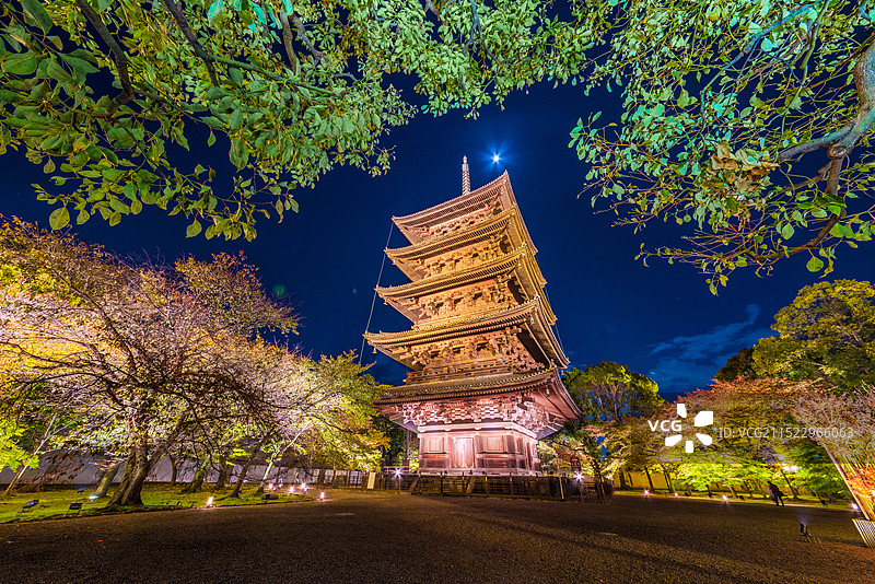 日本京都的东寺，五重塔与红叶狩夜景图片素材