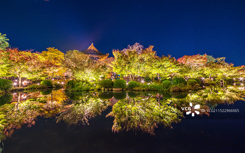 日本京都的东寺，五重塔与红叶狩夜景图片素材