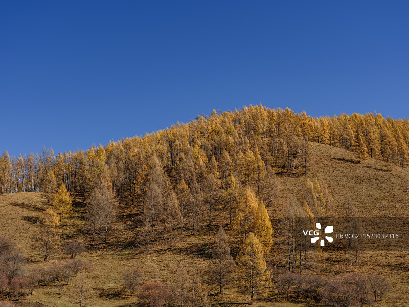 阿尔山图片素材