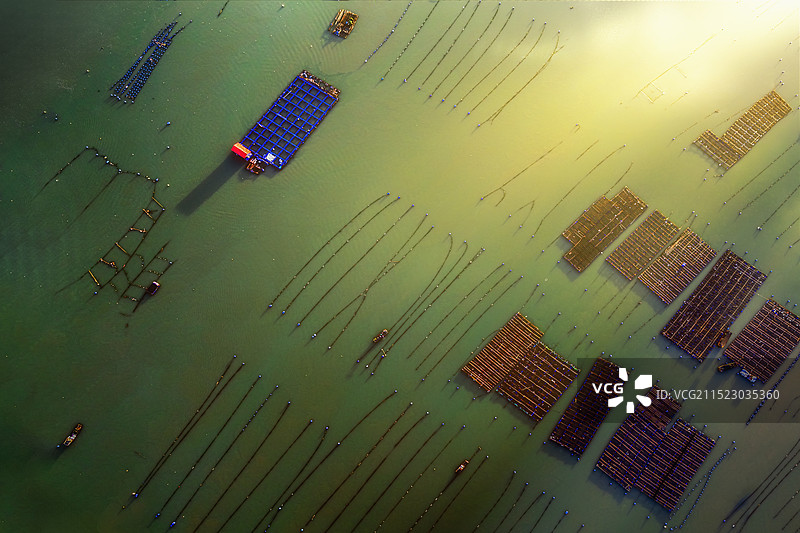 航拍视角、滩涂养殖、海上日出--福建宁德霞浦盐田畲族乡姚澳村图片素材