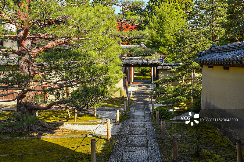 日本京都大德寺的庭院园林景观图片素材