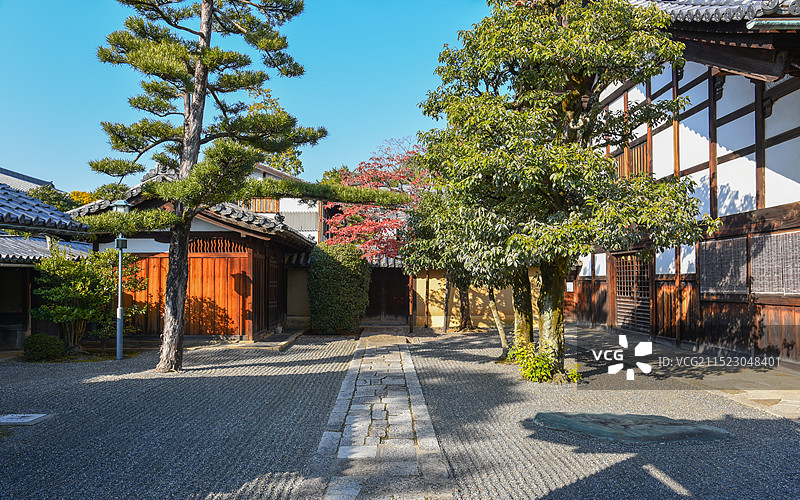 日本京都大德寺的庭院园林景观图片素材