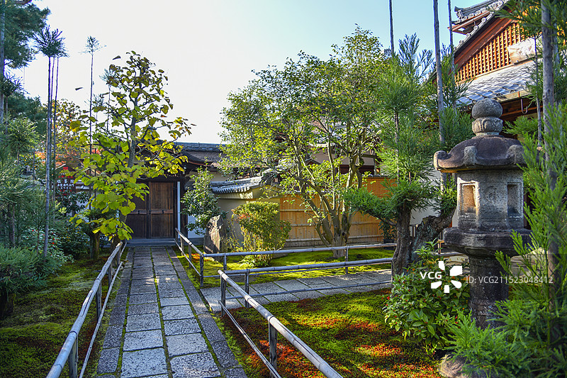 日本京都大德寺的庭院园林景观图片素材