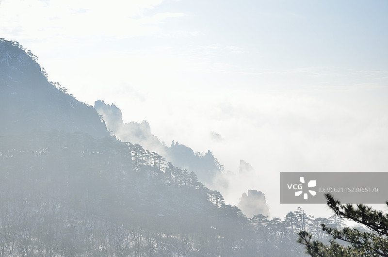 登黄山，天下无山图片素材