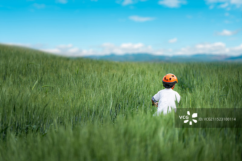 麦田骑行图片素材