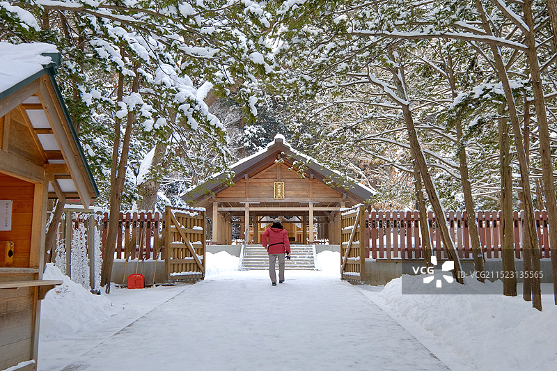 冬天雪后的日本北海道札幌北海道神宫与雪地上的森林图片素材