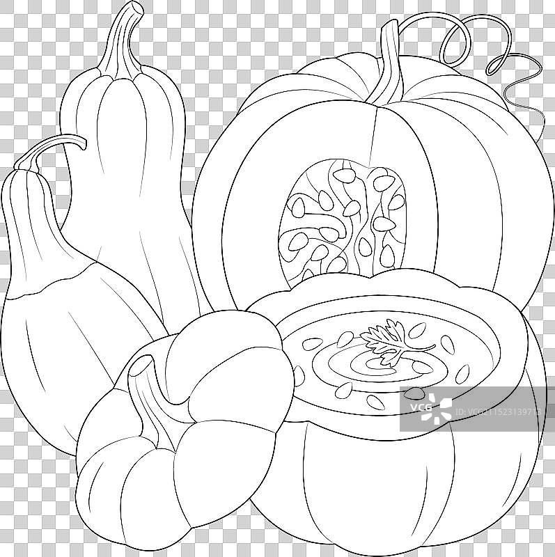 南瓜汤、南瓜冰沙和西葫芦图片素材