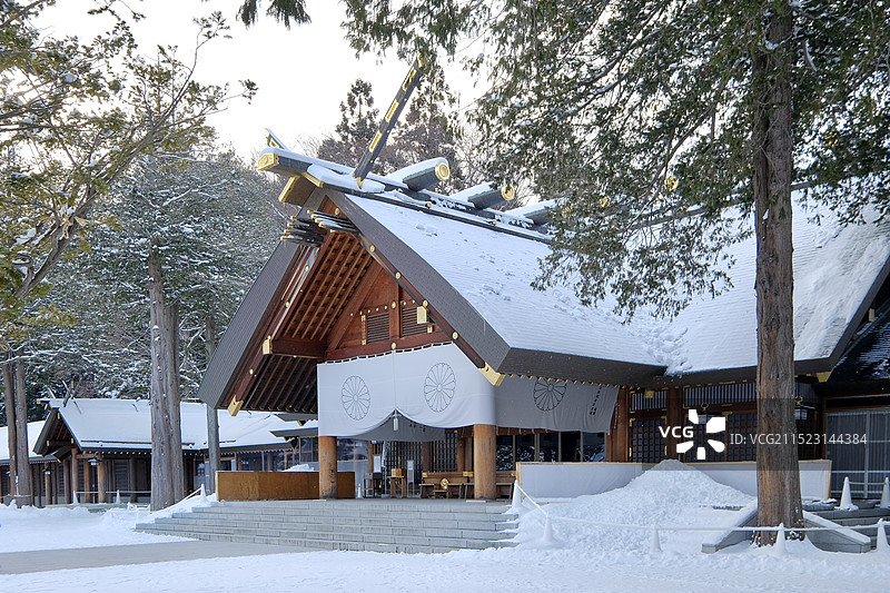 冬天雪后的日本北海道札幌北海道神宫与雪地上的森林图片素材