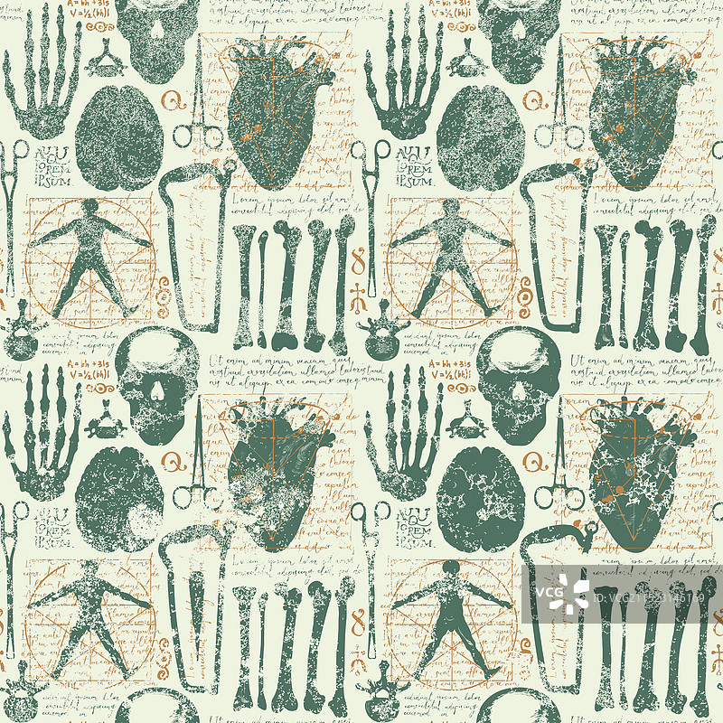 医疗主题的无缝解剖图案图片素材