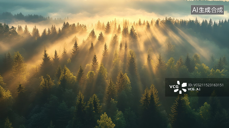 【AI数字艺术】日出晨雾中的森林图片素材