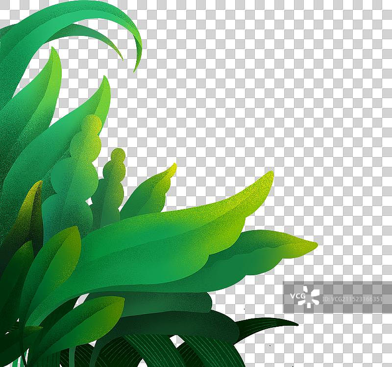 树叶装饰精致免抠元素图片素材