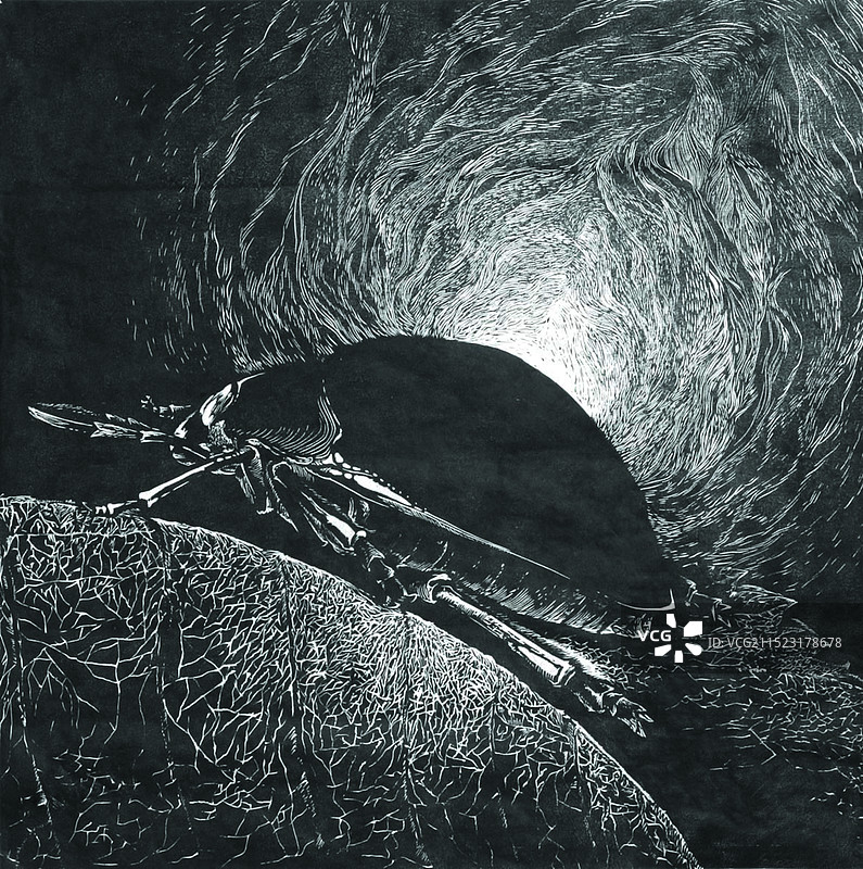 黑白木刻《爬之一》图片素材