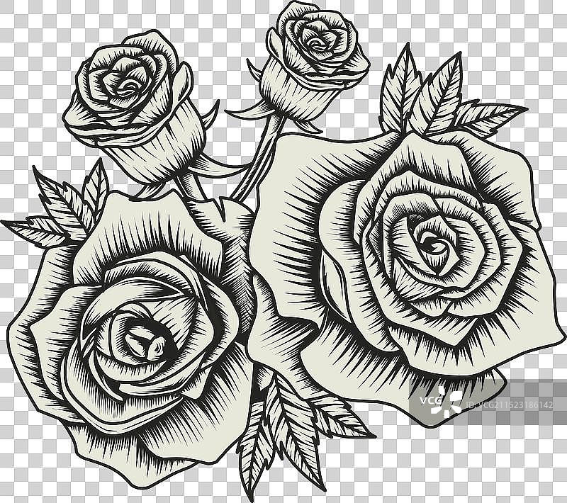 复古玫瑰花图片素材