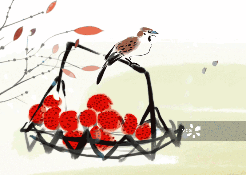 杨梅，美味，酸梅汤图片素材