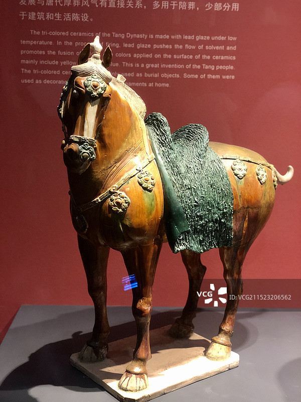 博物馆唐三彩文物展览图片素材