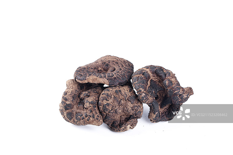 黑虎掌菌 虎掌菌图片素材