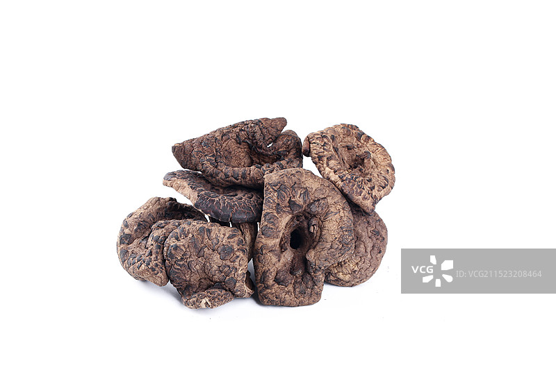 黑虎掌菌 虎掌菌图片素材