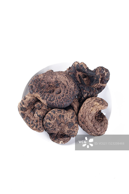 黑虎掌菌 虎掌菌图片素材