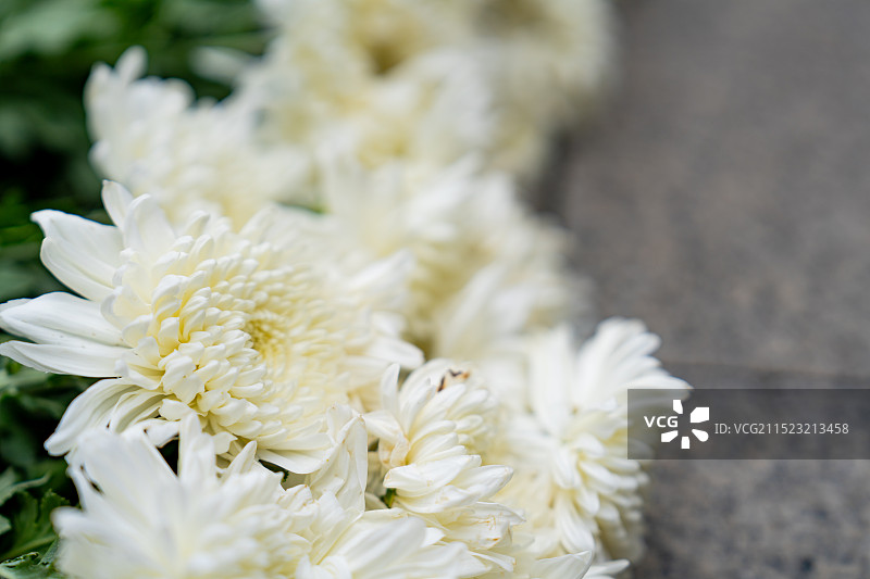 侵华日军南京大屠杀遇难同胞纪念馆图片素材