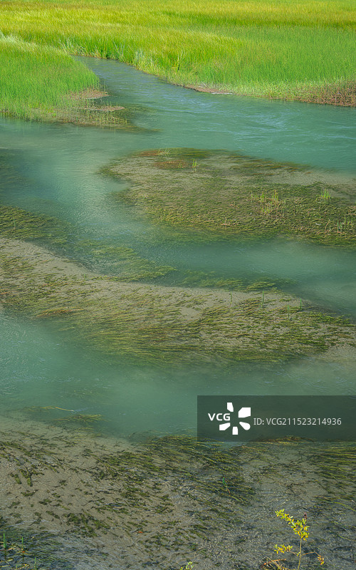 九寨沟箭竹海夏日风景图片素材