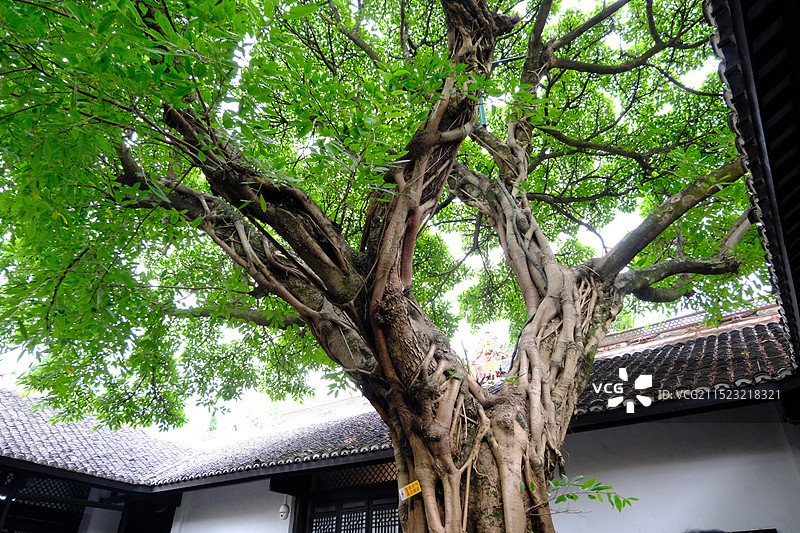 中国重庆奉节县白帝城，白帝城景区，白帝城，白帝庙，明良殿，观星台，武侯祠，归来三峡演出图片素材