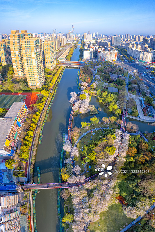 宁波樱花公园里的春天图片素材