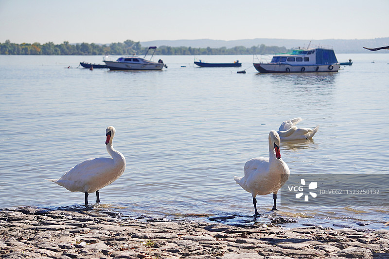 泽蒙小镇图片素材