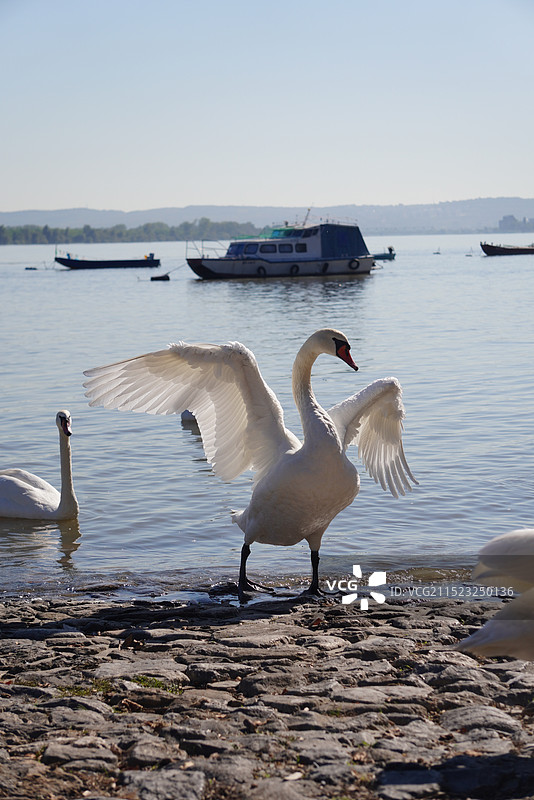 泽蒙小镇图片素材