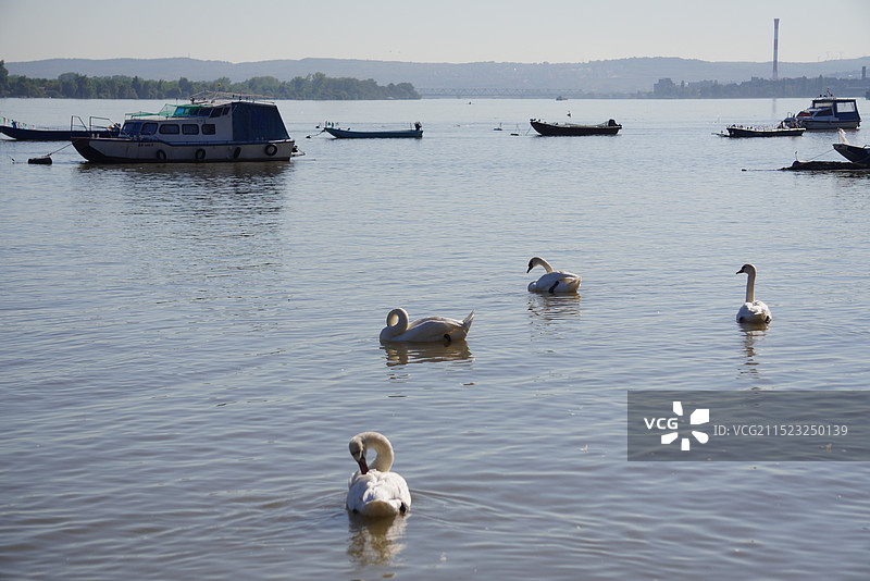 泽蒙小镇图片素材