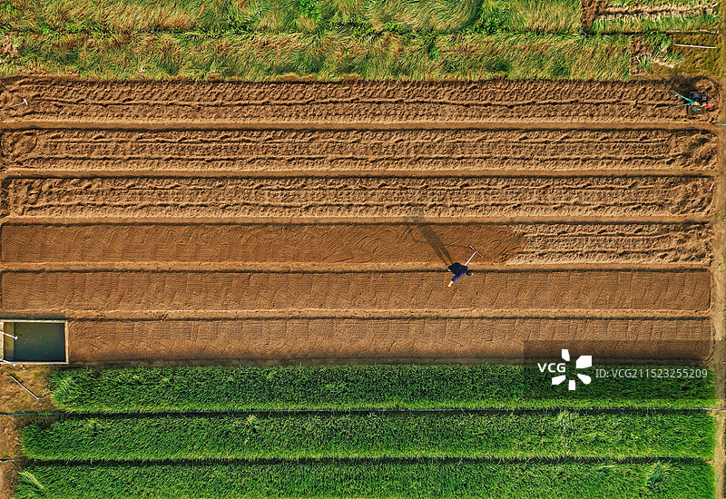 北海银海区马栏村的春色图片素材