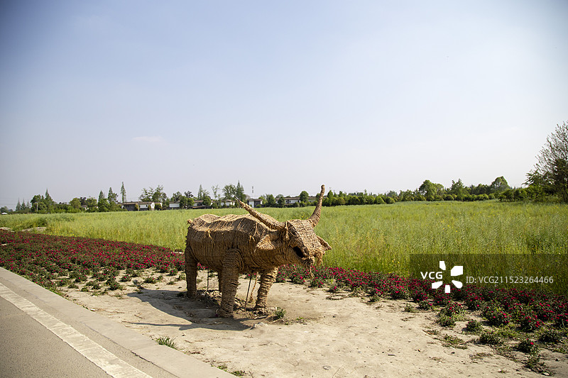 成都三道堰青杠树景区图片素材