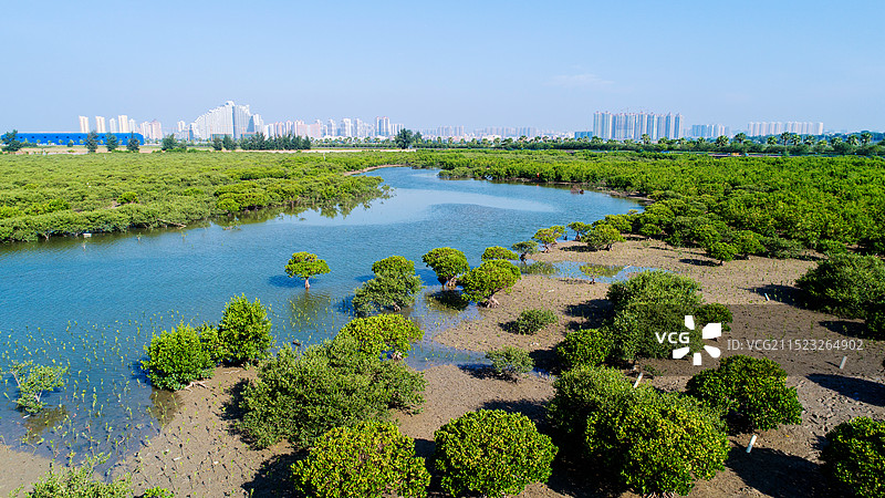 北海滨海湿地公园风光图片素材