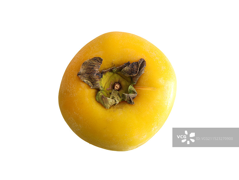 一个秋天丰收的果实脆柿柿子的白底图图片素材