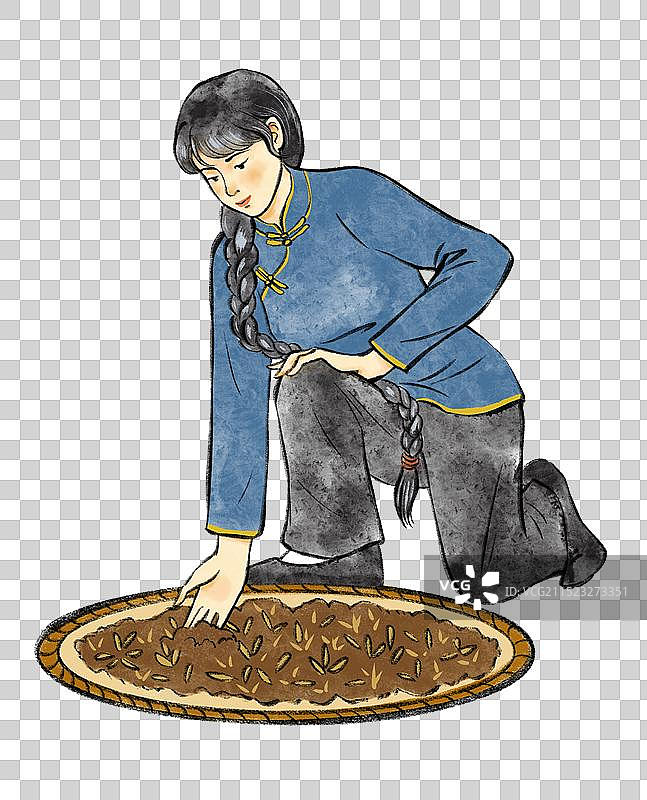 中国风水彩画红茶黑茶乌龙茶普洱茶制作过程与饮茶插画元素图片素材