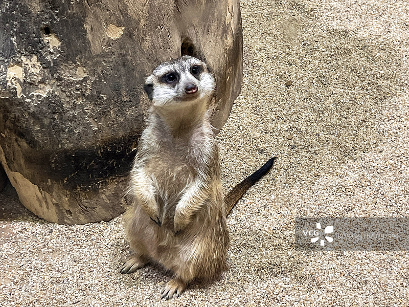 大连圣亚海洋世界图片素材