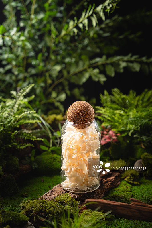 山野森林风格潮汕牛肉粥底火锅菜单图菌菇火锅菜图片素材