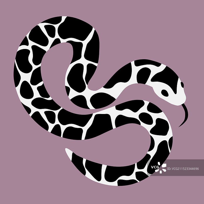 皮肤有黑斑的蛇图片素材