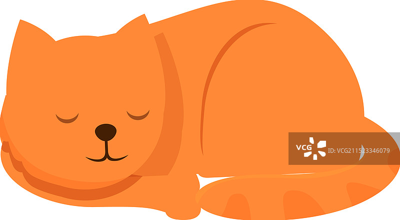 可爱的姜黄色虎斑猫安静地蜷缩着睡觉图片素材