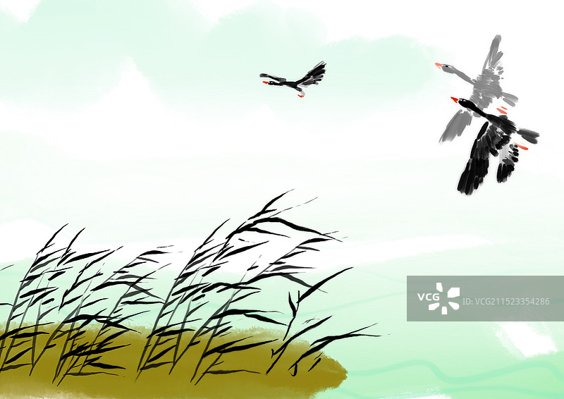 秋天，芦苇，大雁，鸟类，迁徙风景自然新媒体图画书插画图片素材