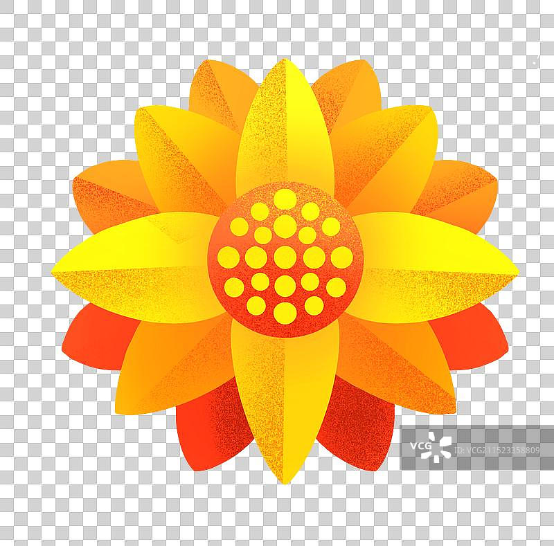 花簇装饰元素2图片素材