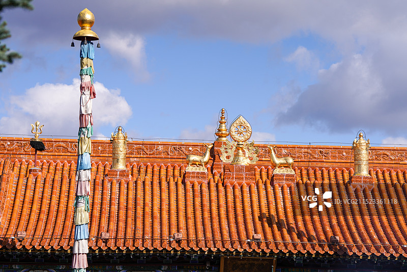 旅行 建筑 旅游目的地 户外 著名景点 风景 寺庙 建筑外部 天空 中国文化 白昼 灵性 无量寺 佛图片素材
