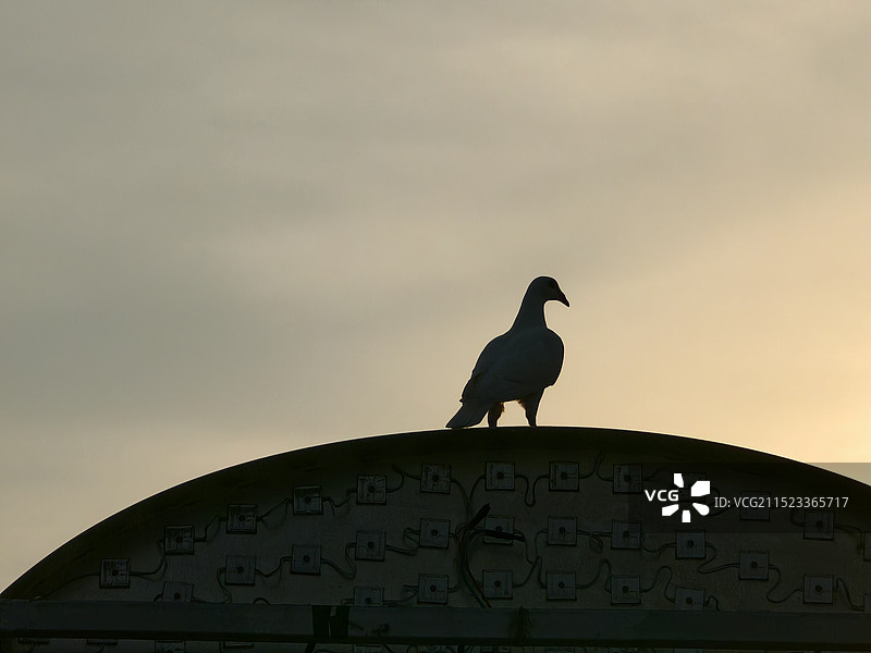 《背/面》鸟瞰晴空的低角度鸟瞰图图片素材