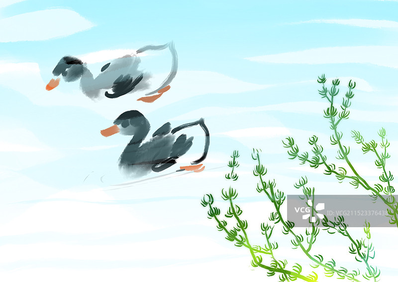 鸭子，湖泊，水风景自然新媒体图画书插画图片素材