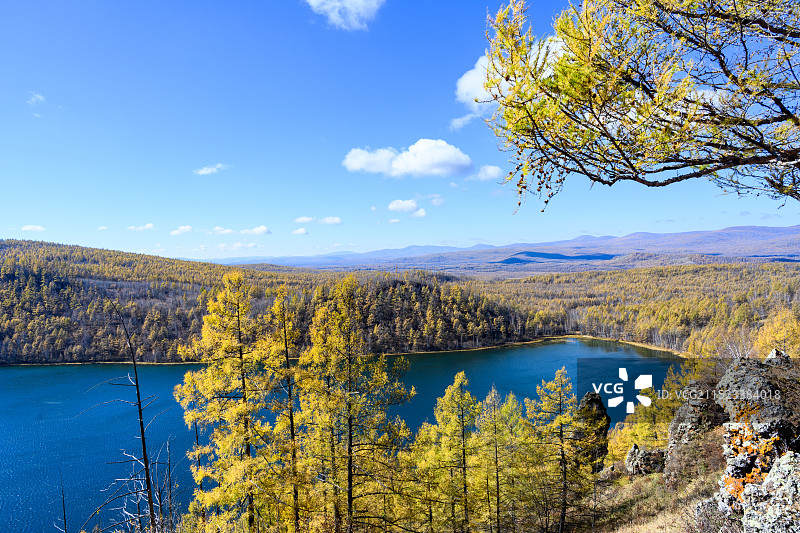 秋季阿尔山森林公园驼峰岭天池，金黄色的兴安落叶松图片素材