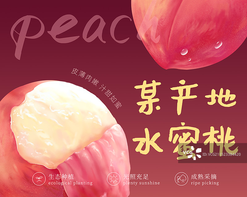 手绘桃子水蜜桃插画包装图片素材