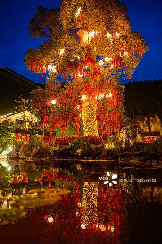 葛仙村句芒神树图片素材