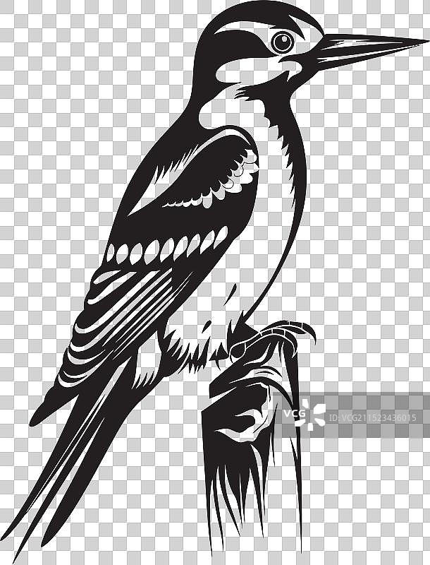 羽毛啄木鸟符号图形图片素材