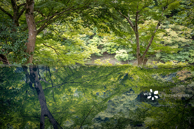 岚山祐斋亭图片素材